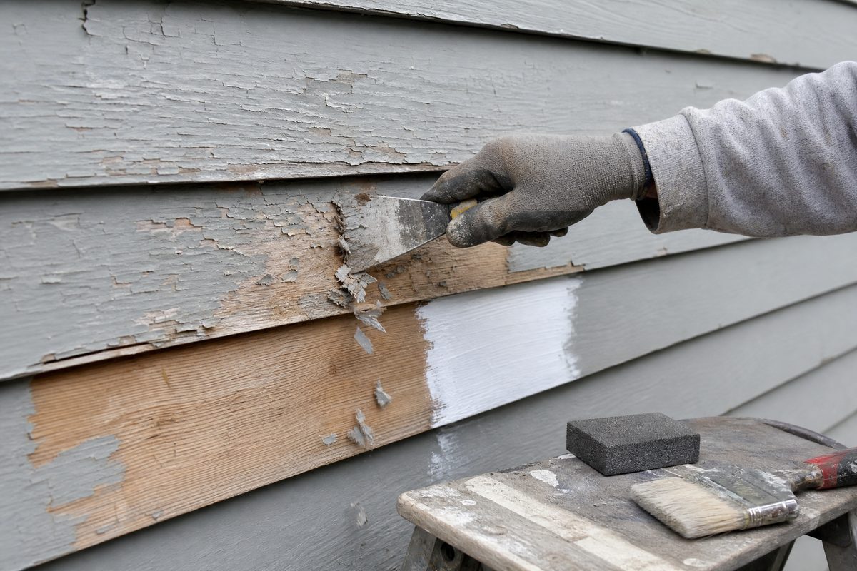 Gloved hand scraping loose paint from wood siding beside a section of bare wood already spot-primed with white primer