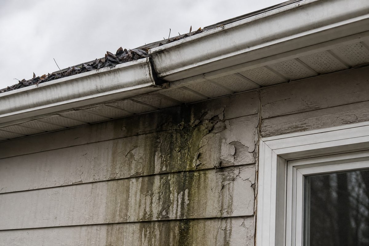 Debris-clogged eavestrough overflowing onto siding below, leaving dark staining, algae growth and blistered paint near a cracked caulk joint