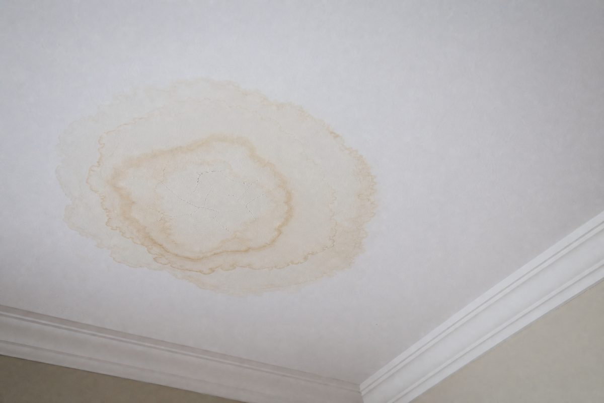 Yellow-brown water stain with concentric tide marks on a white residential ceiling beside white crown moulding