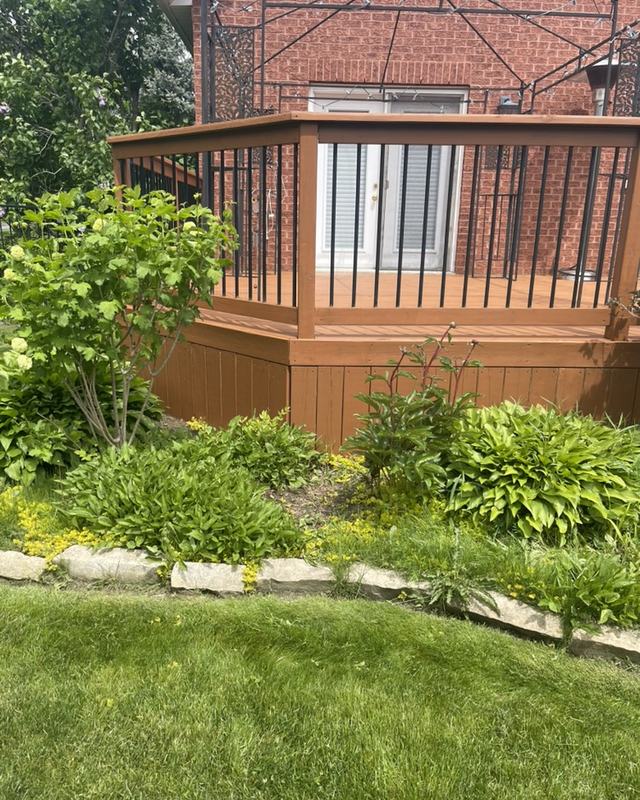 Freshly stained cedar-tone raised deck with black aluminum spindle railing on a red brick home, garden bed and lawn in the foreground