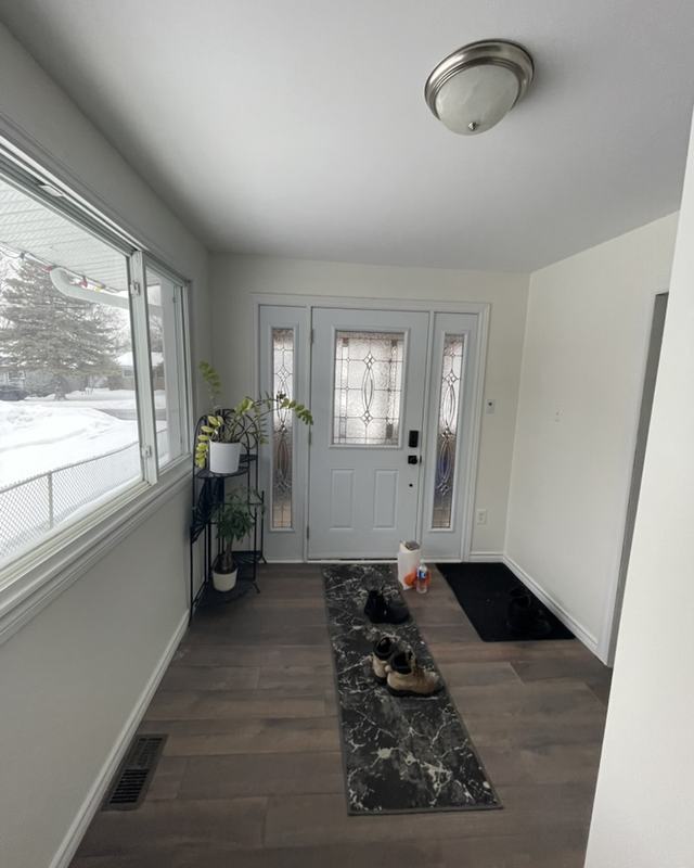 Interior entryway painted white with a glass-panelled front door, runner rug and dark plank flooring